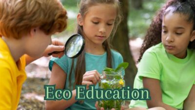Eco education