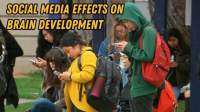 social media effects on brain development
