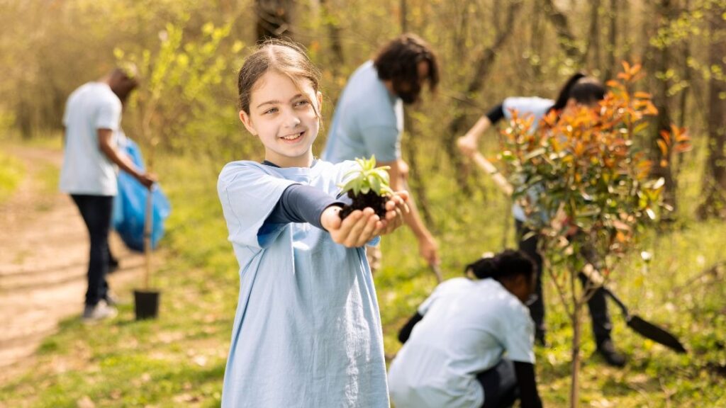 manage tree planting